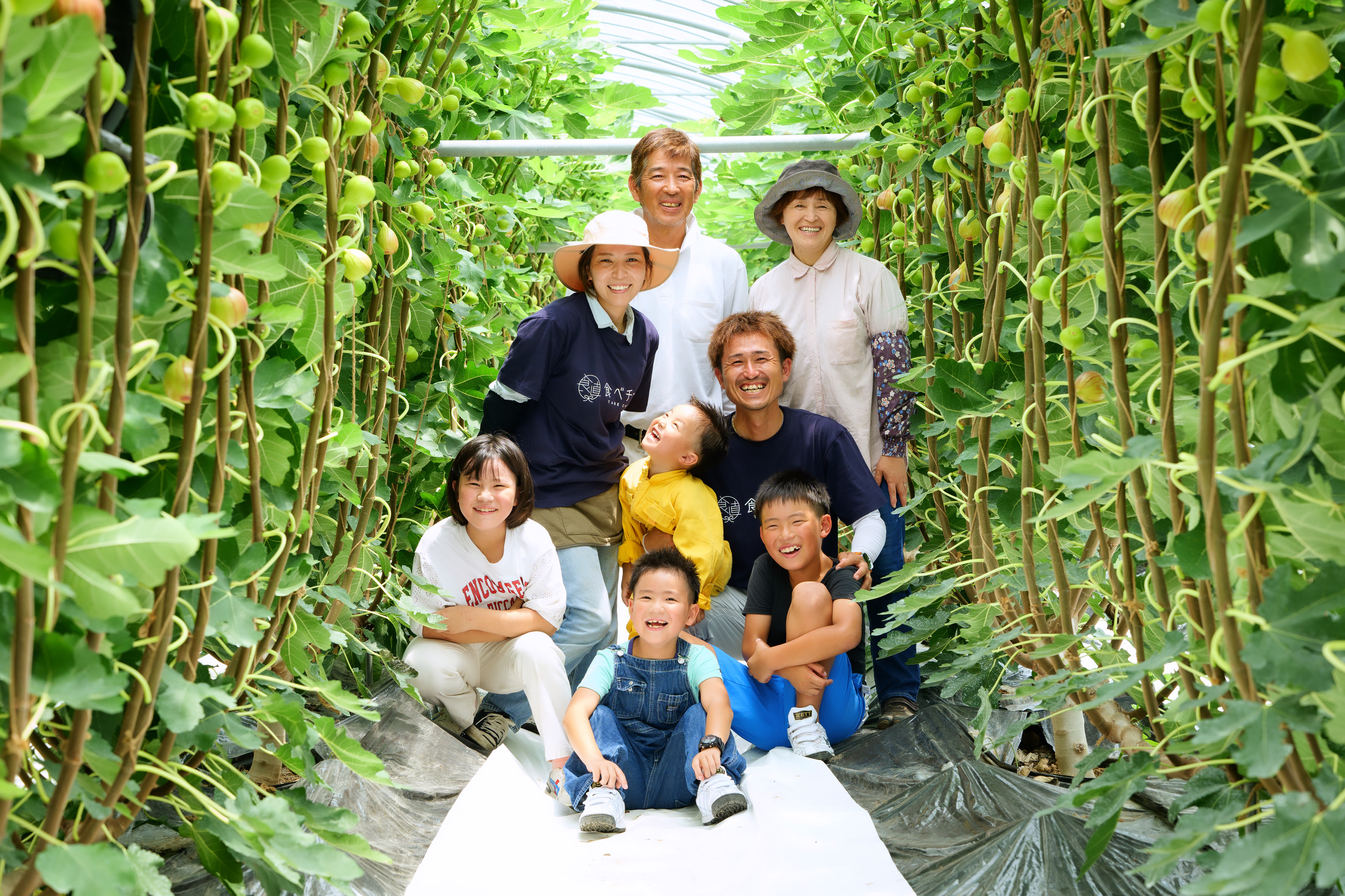 【6月中旬頃より順次発送予定】訳あり 冷凍 イチジク 約3kg【合同会社宝Farm】