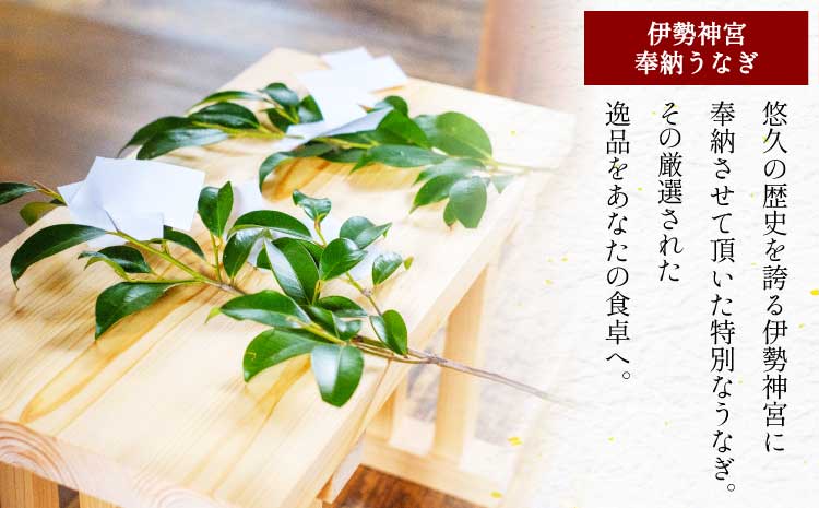 うなぎ 【ミシュラン1つ星店 採用】 国産 紅白 3～4尾セット 計600g  【数量限定】海水育ちの天草藍うなぎ 鰻 ニホンウナギ 惣菜 熊本県産 九州 国産 冷凍