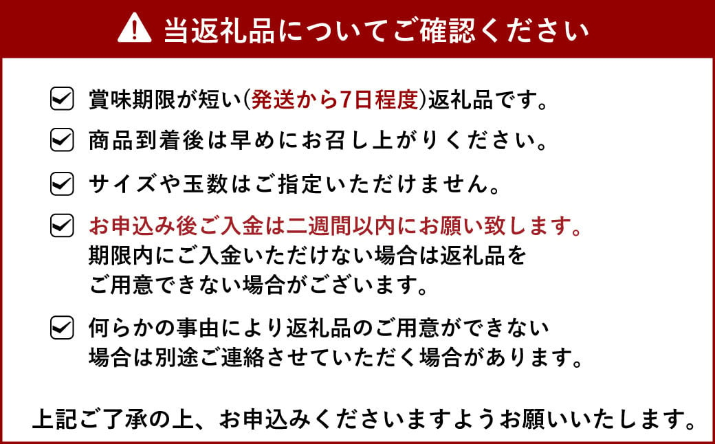 【先行予約】果実の宝箱 葉付きデコ柑（不知火）約2.5kg【田辺農園】【2025年3月上旬から5月上旬発送予定】不知火 しらぬい 果物 くだもの フルーツ 柑橘