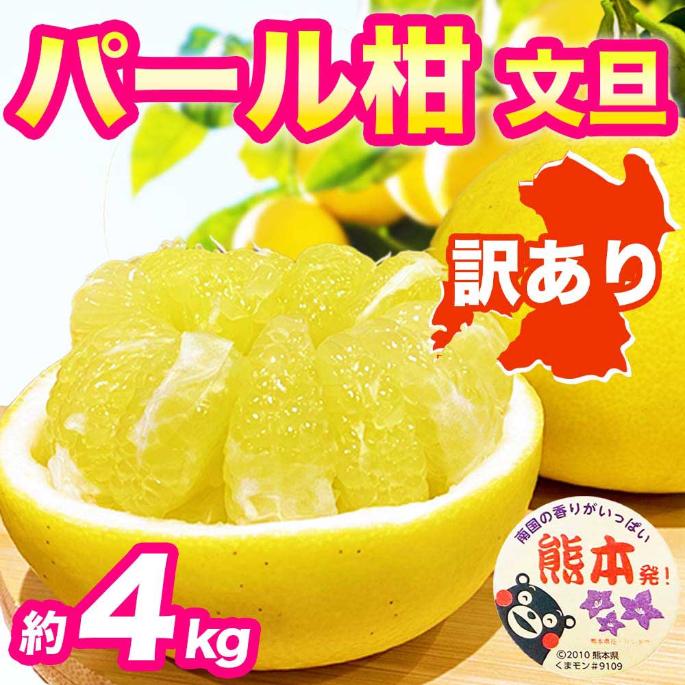 先行予約 訳あり パール柑 文旦 約4kg 果物 フルーツ くだもの 柑橘 【2027年2月上旬〜2027年3月下旬配送予定】文旦 ぶんたん 果物 フルーツ くだもの 柑橘 グレープフルーツ 国産 熊本 熊本県 九州 産地直送 わけあり ワケアリ 日本フルーツ