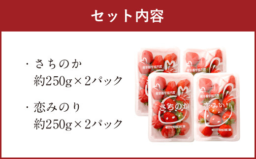 【2月発送】宇城市産いちご 「さちのか」「恋みのり」詰め合わせ 各約250g×2パック 計4パック 【わたなべいちご園】