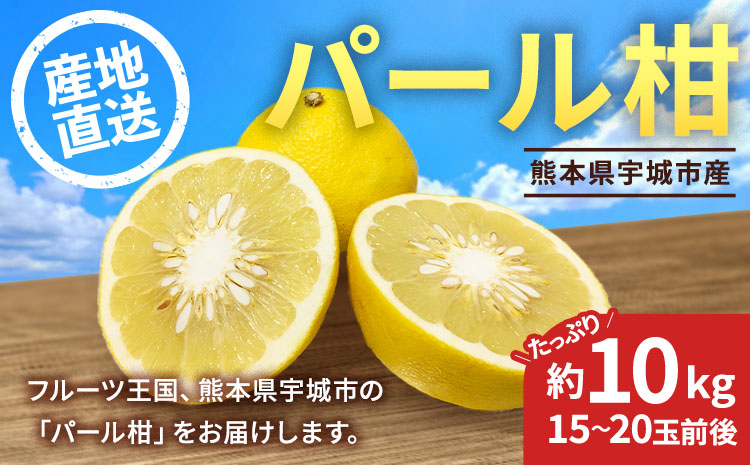 【先行予約】 熊本県宇城市産 パール柑 約10kg 【2026年2月上旬から4月中旬発送予定】文旦 柑橘 フルーツ 果物 果実 みかん 蜜柑 ミカン