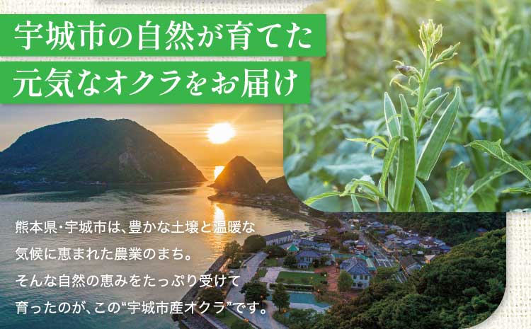 ãå
è¡äºçŽãã2026幎4æäžæ¬ãã2026幎10æäžæ¬é é æ¬¡çºéäºå®ããªã¯ã© ããã åšç°ããå®¶ã®ãªã¯ã©800gïŒ80gÃ10è¢ïŒ æ°é®®éè å€éè å®¶åºæç åœç£ åœç£éè çæ¬çç£ åœç£ ä¹å· çæ¬ç å®ååž ç²ããåŒ·ã æããã çãå°ãªã ã·ã£ãã·ã£ã ã飯ã®ãäŸ å€ãã察ç ãµã©ã ãã²ãã