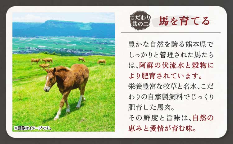 銬åºã 銬åºã赀身ãŠãã± 10åã»ãã 銬è ãŠã㱠赀身ãŠãã± ãŠãã±ã»ãã å°çšããä» éŠ¬åº ã°ãã çé£çš æ°é®® äœèèª é«ããã±ãäœè質 äœã«ããªãŒ ãã«ã·ãŒ åå
è£
å°åã é£ã¹ãããµã€ãº è 赀身 åœç£ å·å æ ªåŒäŒç€Ÿåèãã¡ãŒã