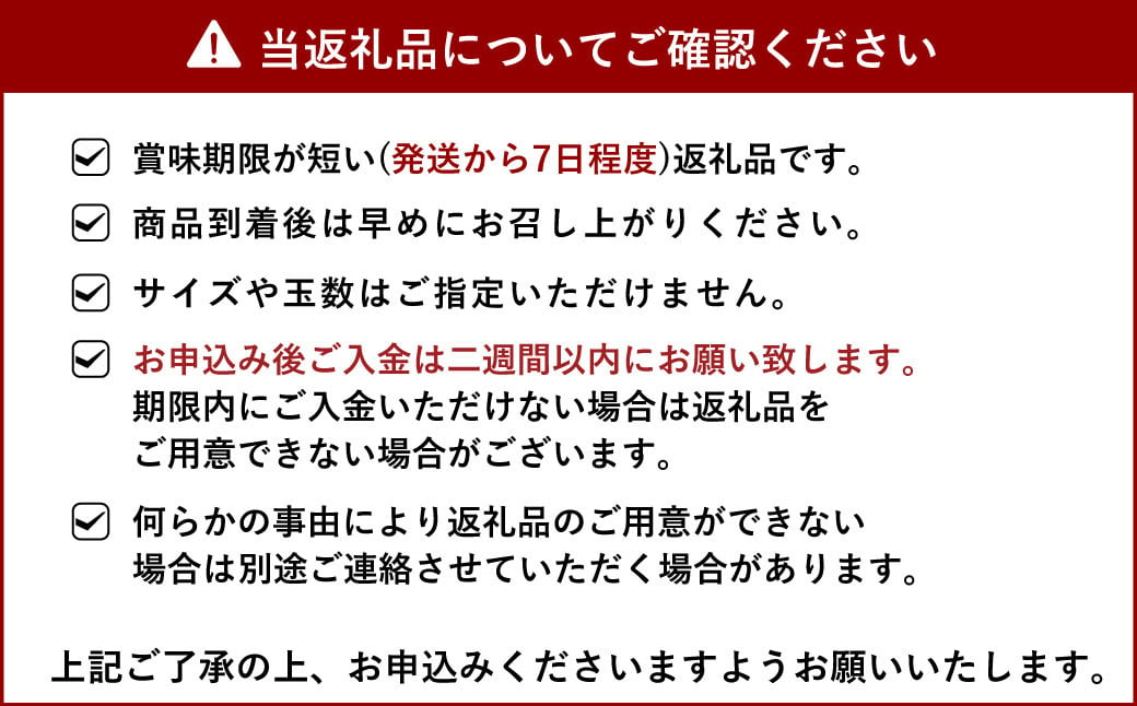 【先行予約】果実の宝箱 デコ柑（不知火）約2.5kg【田辺農園】【2025年3月上旬から5月下旬発送予定】不知火 しらぬい 果物 くだもの フルーツ 柑橘