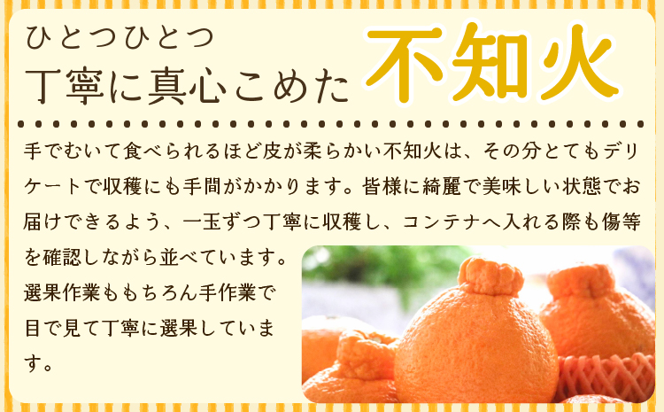 先行予約【雑誌 MORE 掲載】不知火 約3kg (約9～12玉) 【2026年3月上旬から4月下旬発送予定】しらぬい 柑橘 みかん ミカン 蜜柑 果物 くだもの フルーツ 九州産 熊本県産 宇城市産 国産