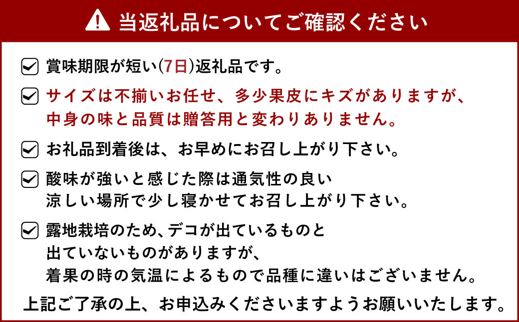 【先行予約】不知火 約10kg（40玉前後）【ひがし果樹園】【2025年3月上旬～4月下旬発送予定】柑橘 果物