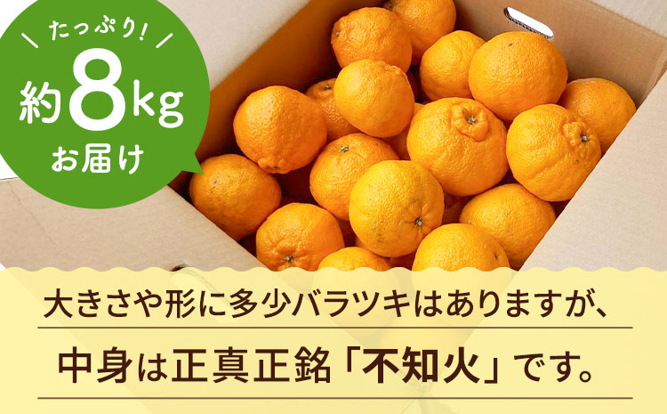 ãå
è¡äºçŽã äžç¥ç« èš³ãã çŽ8kg ããã¬ã ææ© ãã«ãŒã æç© æå® ã¿ãã èæ ãã«ã³ çæ¬ç å®ååžç£ ã2026幎2æäžæ¬ãã4æäžæ¬çºéäºå®ã