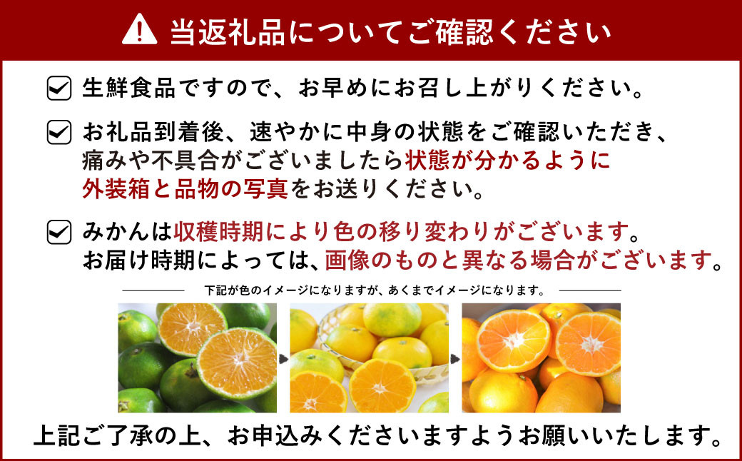 宇城市産 青島 温州みかん 約8kg（60個前後）ひでみかん 【12月上旬から12月下旬発送予定】 温州みかん 柑橘 果物 くだもの お取り寄せ 熊本県 宇城市