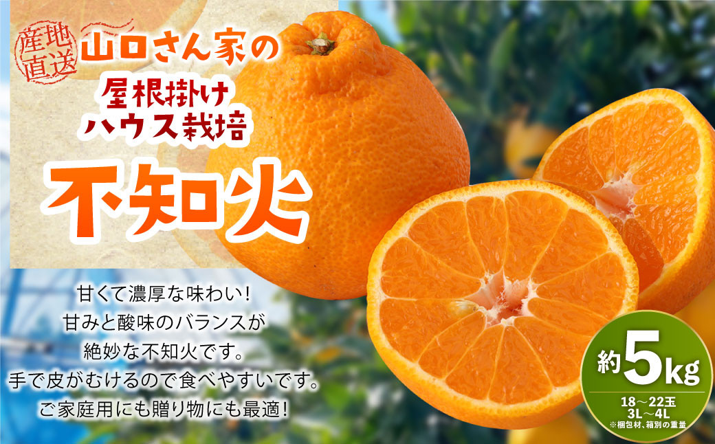 【先行受付】屋根掛けハウス栽培 山口さん家の不知火 約5kg 18玉～22玉 3L～4L【2025年1月上旬から2月上旬発送予定】柑橘 果物 フルーツ