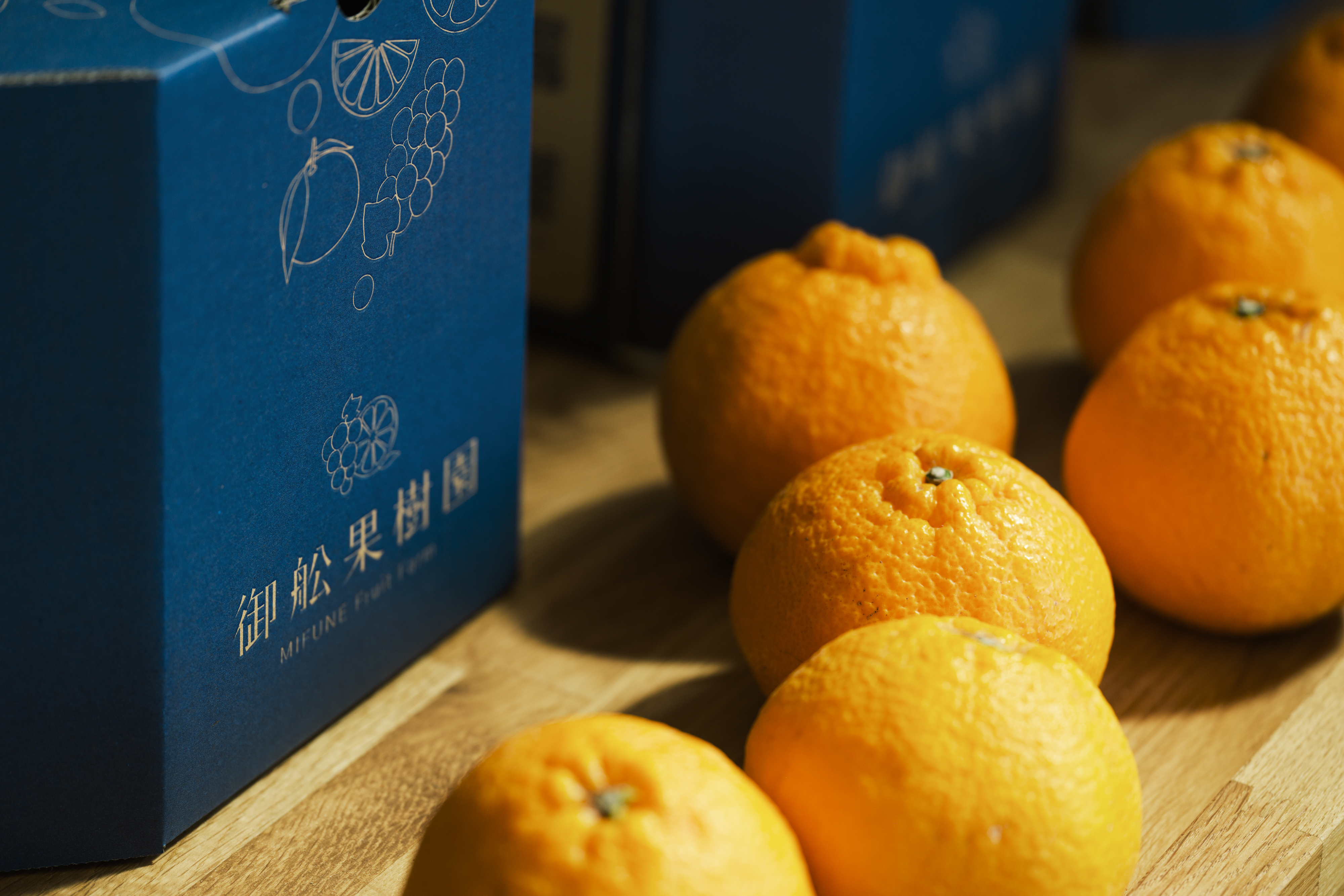 å
è¡äºçŽ èš³ãã äžç¥ç« æããäžç¥ç« éžã¹ã容é çŽ2kg ã2026幎4æäžæ¬ãã2026幎6æäžæ¬çºéäºå®ã åŸ¡è©ææš¹å ãããã äžæã ããã¬ã ææ© å®ååž çæ¬çç£