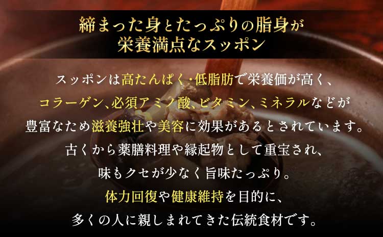 ãã£ãœã çŽ1,400g ïŒçŽ700gÃ2ïŒãã£ãœãé é«çŽ ç°¡å調ç ãã£ãœãæç ã¹ããã³ ã¹ããã³é å å·¥ ã¹ããã³ å·åè çŽ1,400g