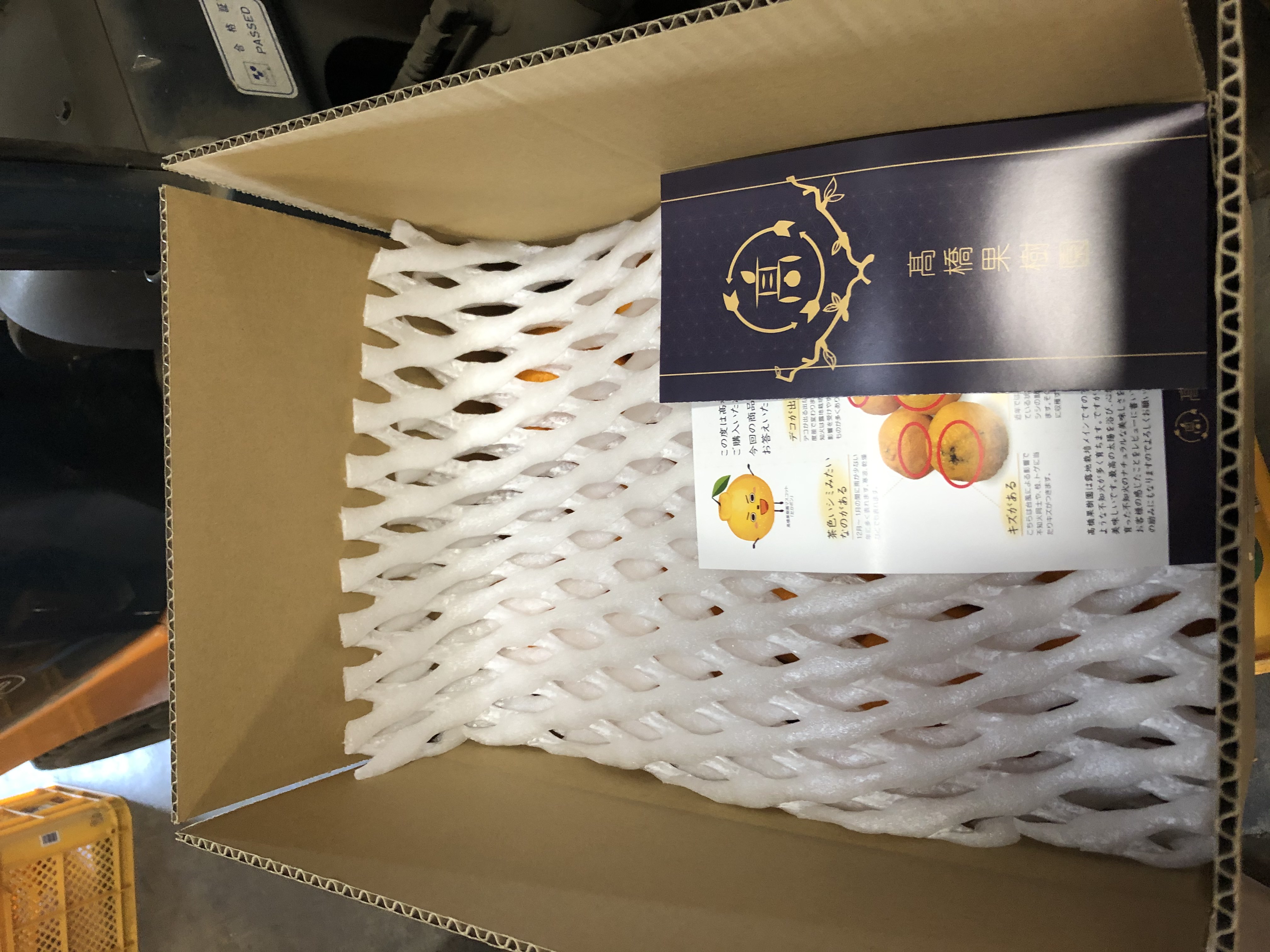  宇城市産 完熟不知火(化粧箱入り) 約3kg 高橋果樹園【2026年2月上旬から5月中旬発送予定】不知火 柑橘 果物 フルーツ かんきつ