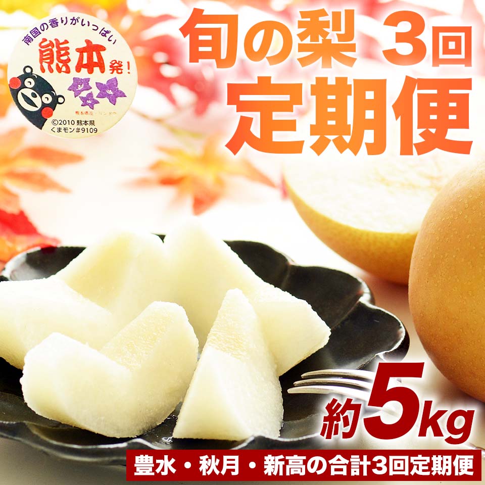 定期便3回 先行予約 梨 なし ナシ 和梨 豊水 秋月 新高 フルーツ 果物 くだもの 約5kg (6〜18玉)×3回【2026年8月上旬〜2026年10月上旬配送予定】 国産 熊本県 熊本 九州 産地直送 果汁 たっぷり フレッシュ 日本フルーツ