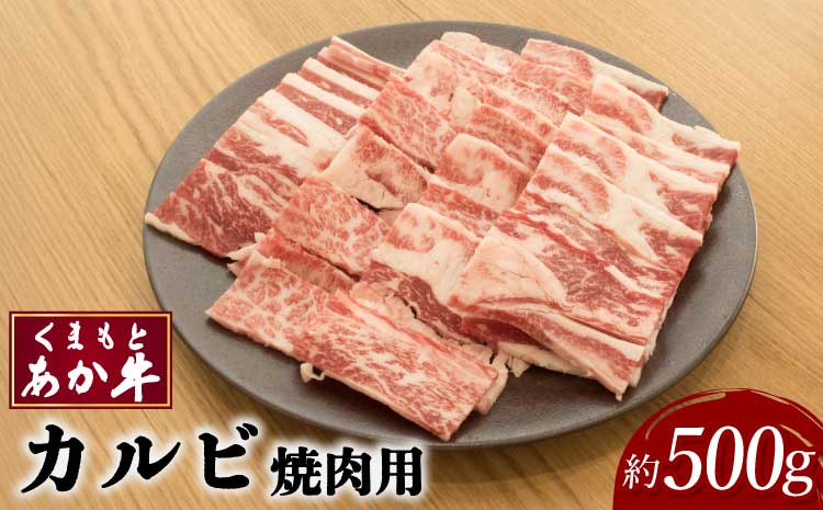 くまもとあか牛 カルビ 焼肉用 約500g×1パック