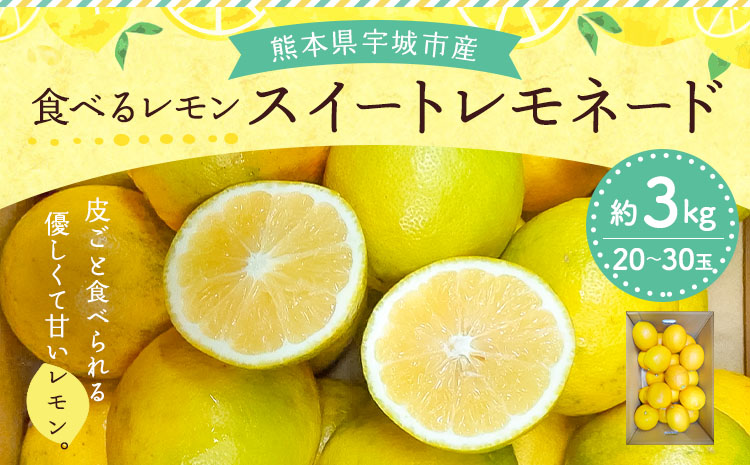 é£ã¹ãã¬ã¢ã³ ã¹ã€ãŒãã¬ã¢ããŒã çŽ3kgïŒ20ã30çïŒãåç°ã¬ã¢ããŒãã2025幎12æäžæ¬-2026幎6æäžæ¬çºéã