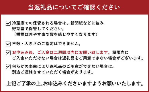 【先行予約】訳あり品 おでこちゃん 約4kg 【2025年2月上旬から3月上旬発送予定】みかん 不知火 柑橘 フルーツ 果物