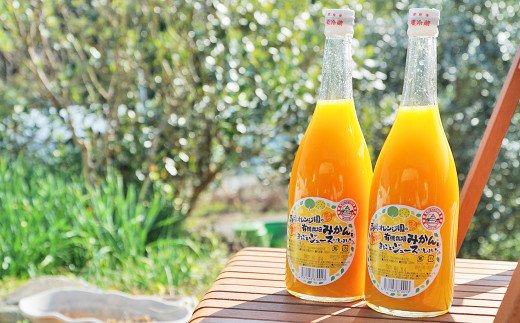 濃厚！みかんジュース 2本セット 720ml×2本 計1440ml 果汁100%