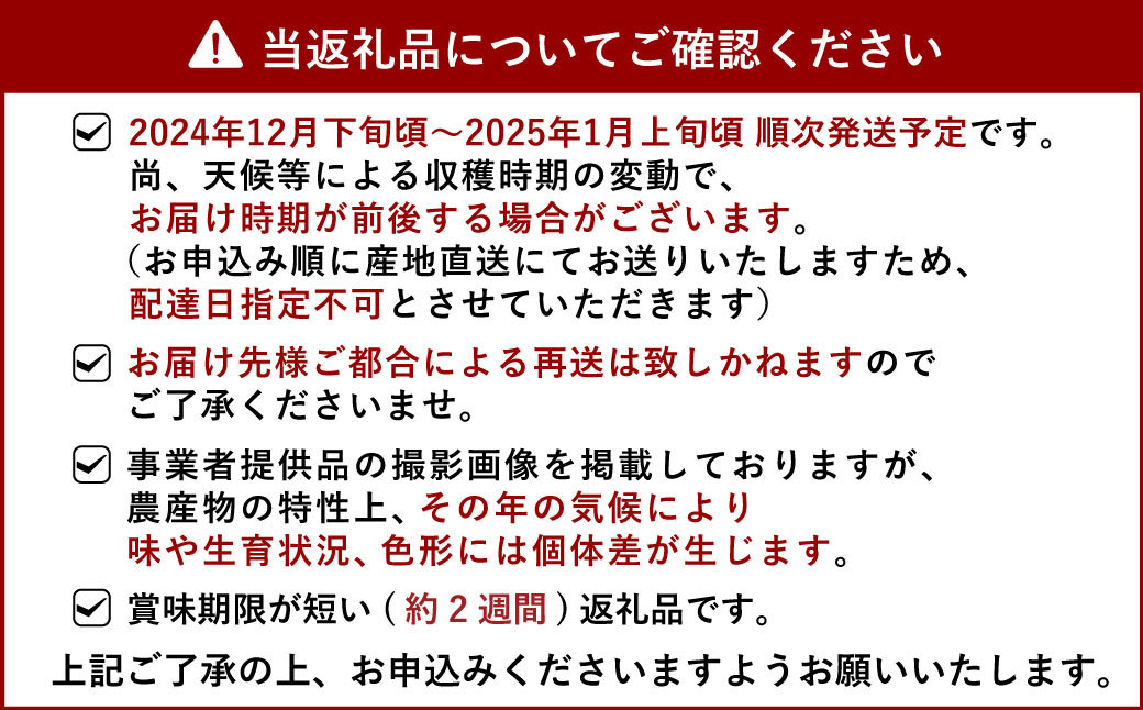 山口さん家のスイートスプリング 約5kg 【12月下旬から2025年1月上旬発送予定】柑橘 果物 フルーツ