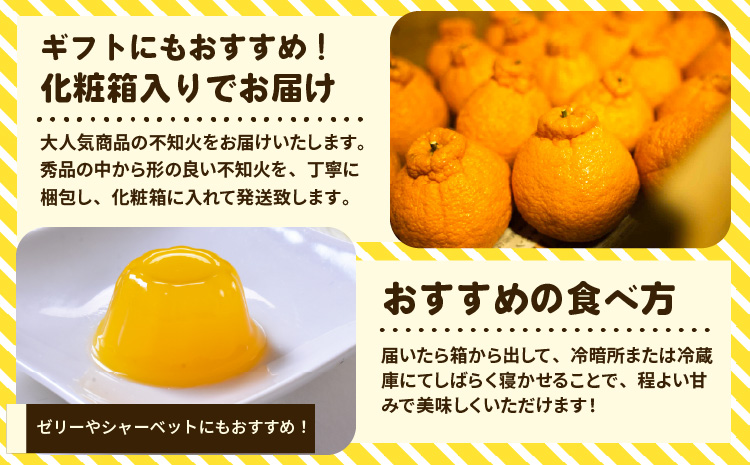 å®ååžç£ å®çäžç¥ç«(åç²§ç®±å
¥ã) çŽ3kg 髿©ææš¹åã2026幎2æäžæ¬ãã5æäžæ¬çºéäºå®ãäžç¥ç« ææ© æç© ãã«ãŒã ãããã€