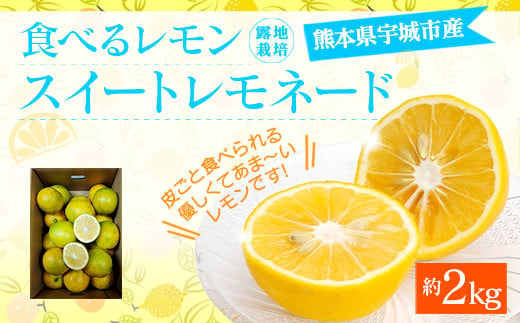 食べるレモン スイートレモネード 約2kg（15～25玉）【吉田レモニー】【2024年12月上旬～2025年6月上旬発送】檸檬 柑橘