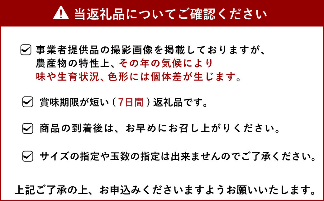 【2024年1月上旬〜順次発送予定】宇城市産 完熟不知火(化粧箱入り) 約3kg 高橋果樹園