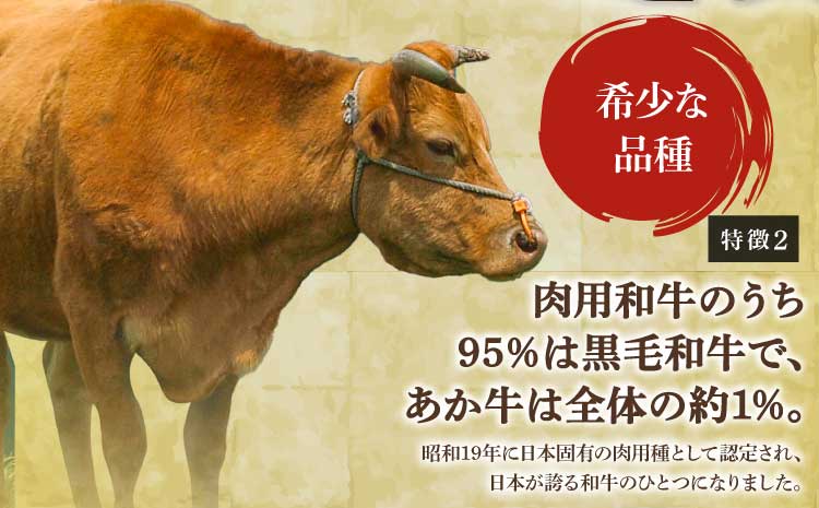 ããŸããšããçã«ã¿ããŒã¹èåã çŽ400g å°å
ãã©ã³ã ããç çè è©ããŒã¹ ããŒã¹ïŒããçŒãã»éæ¿çŒãçšïŒ