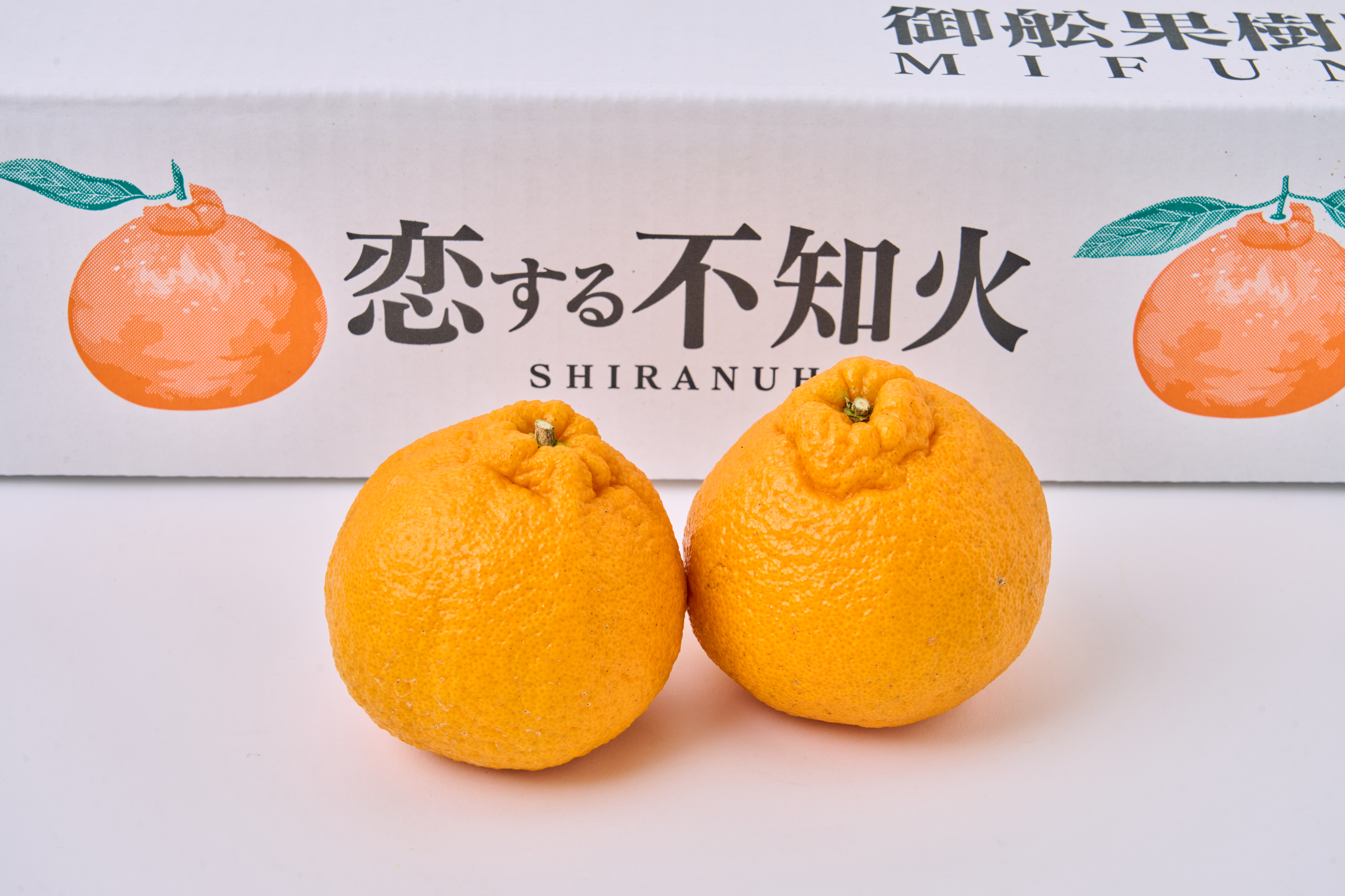 先行予約 不知火 恋する不知火 約5kg 御舩果樹園 しらぬい みかん ミカン 【2026年4月上旬から2026年6月下旬発送予定】 フルーツ 果物 くだもの 柑橘 宇城市 熊本県産 九州産