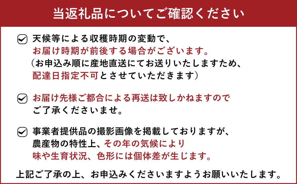 宇城市産 フルーツトマト アイコ 約2kg【6月下旬までに発送予定】【しんたのトマト農園】