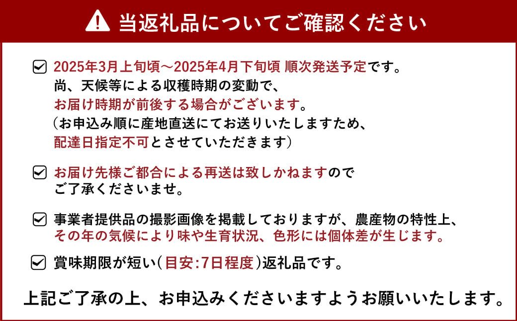 雑誌「MORE」掲載商品 不知火 訳あり品 9kg 【松川果樹園】【2025年3月上旬から4月下旬発送予定】しらぬい 柑橘