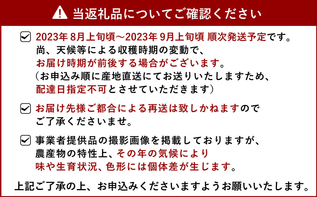 【先行予約】【2023年8月上旬より順次発送予定】宇城市産 シャインマスカット 約2kg（3～5房）宇城彩館 ぶどう