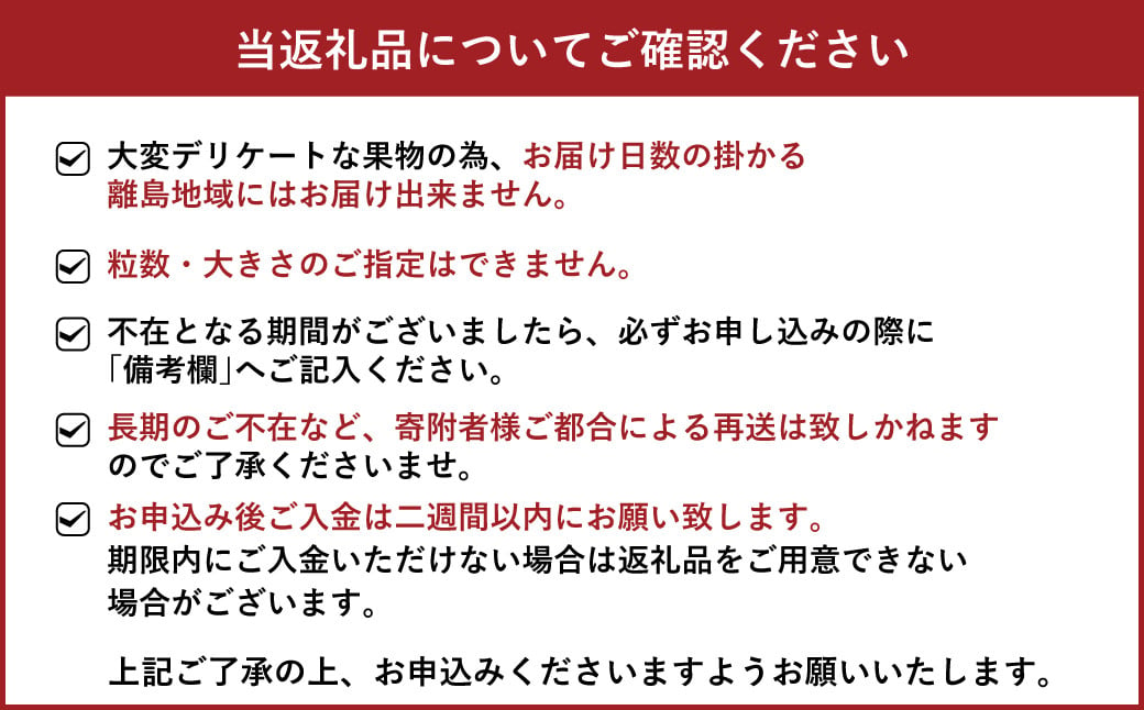 【JA熊本うき】恋のぞみ（250g×8パック）合計2kg レギュラーサイズ【2025年1月上旬～3月上旬発送予定】いちご 苺 イチゴ