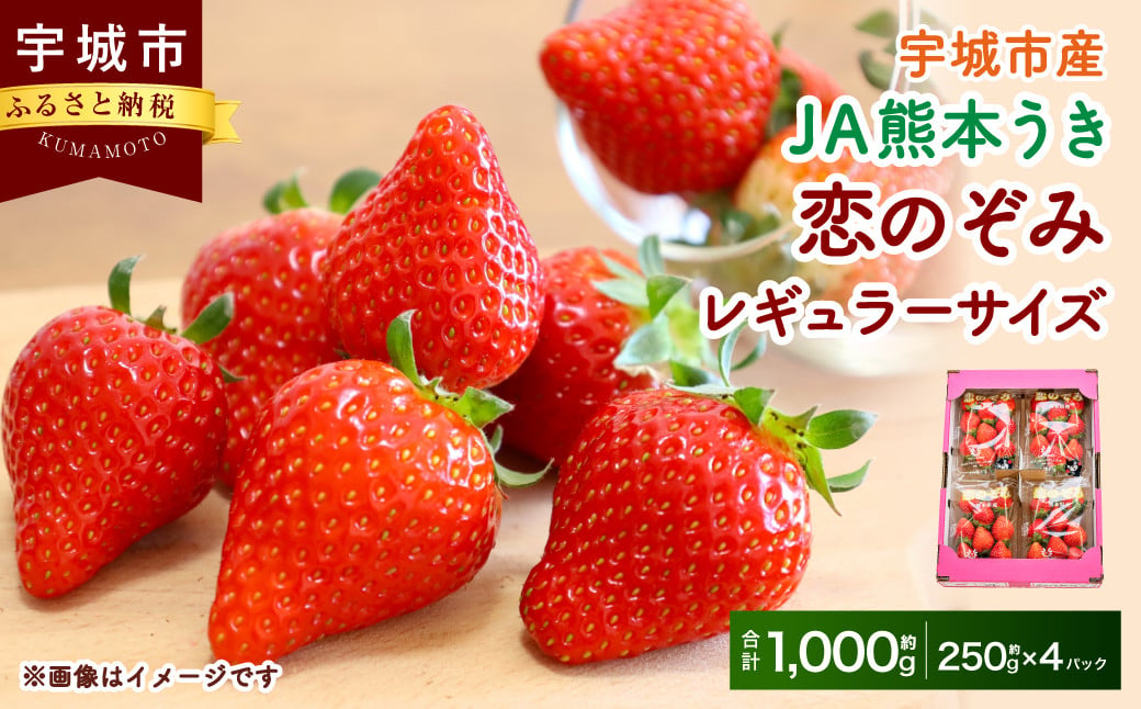 【JA熊本うき】恋のぞみ（250g×4パック）合計1kg レギュラーサイズ【2025年1月上旬～3月上旬発送予定】いちご 苺 イチゴ