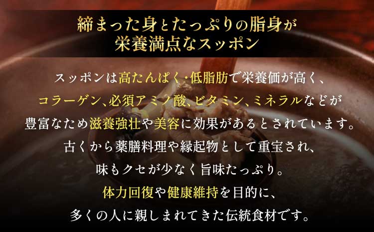 すっぽん 約700g すっぽん鍋 高級 簡単調理 すっぽん料理 スッポン スッポン鍋 加工 スッポン 冷凍肉 約700g