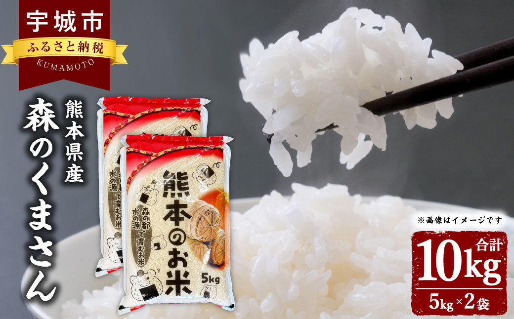 米 精米 精白米 熊本県産 森のくまさん 合計10kg（5kg×2袋）