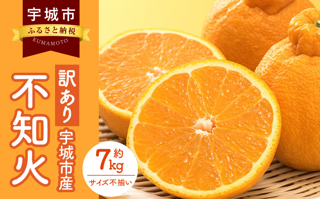 訳あり 不知火 7kg【2025年1月下旬から2025年4月下旬発送予定】 しらぬい 果物 フルーツ 規格外 不揃い