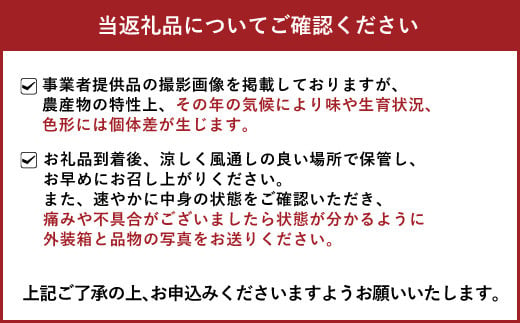 【先行予約】訳あり品 おでこちゃん 約4kg 【2025年2月上旬から3月上旬発送予定】みかん 不知火 柑橘 フルーツ 果物