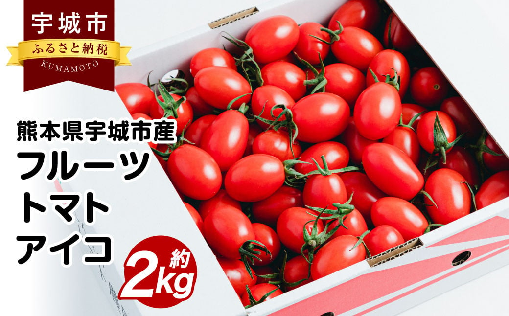 宇城市産 フルーツトマト アイコ 約2kg【6月下旬までに発送予定】【しんたのトマト農園】