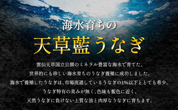うなぎ 【ミシュラン1つ星店 採用】 国産 紅白 3～4尾セット 計600g  【数量限定】海水育ちの天草藍うなぎ 鰻 ニホンウナギ 惣菜 熊本県産 九州 国産 冷凍