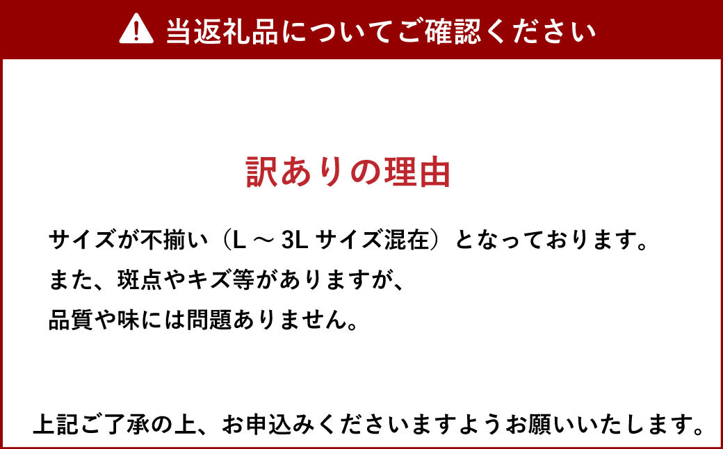 【先行受付】山口果樹園 訳あり 不知火  約5kg L～3L混合【2025年2月上旬から4月上旬発送予定】不知火 しらぬい 蜜柑 くだもの フルーツ 果物