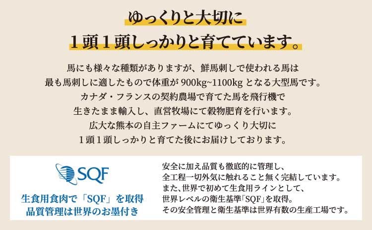 馬刺し 熊本 合計1.04kg 【売り切れ御免】【訳あり】【数量限定】馬刺し 合計約1.04kg 赤身 ブロック 桜うまトロ