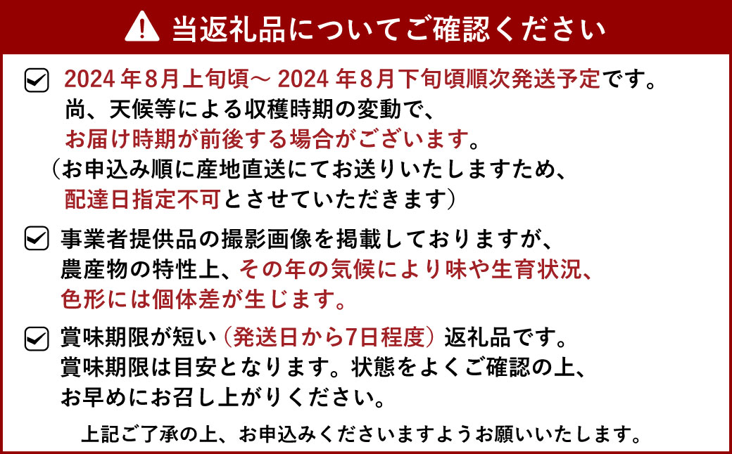 シャインマスカット 約2.4kg（1房約300g×8パック）【清水果樹園】【2024年8月上旬から8月下旬発送予定】