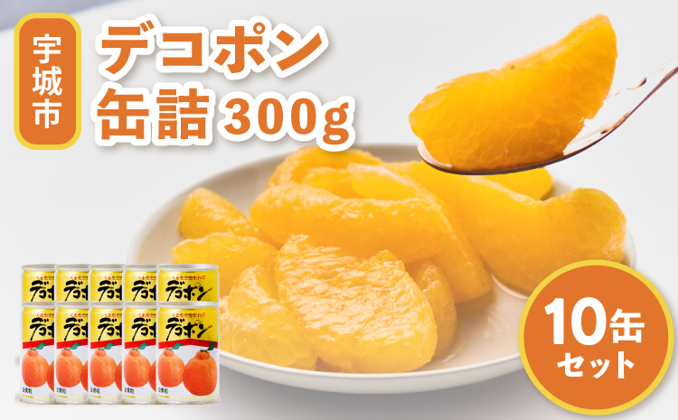 【順次発送】くまもとの果樹園 デコポン 缶詰 10缶 セット 