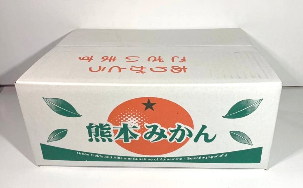 宇城市産 温州みかん 約5kg（2S～2Lサイズ 約30～60玉）