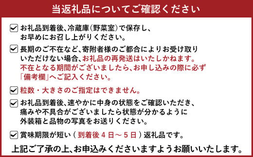 【2月発送】宇城市産いちご 「さちのか」「恋みのり」詰め合わせ 各約250g×2パック 計4パック 【わたなべいちご園】