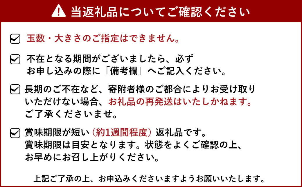 【2025年1月上旬～2月下旬発送予定】不知火 5kg（12～24玉）【 冨田農園 】果物 くだもの フルーツ 柑橘 柑橘類 デザート しらぬい