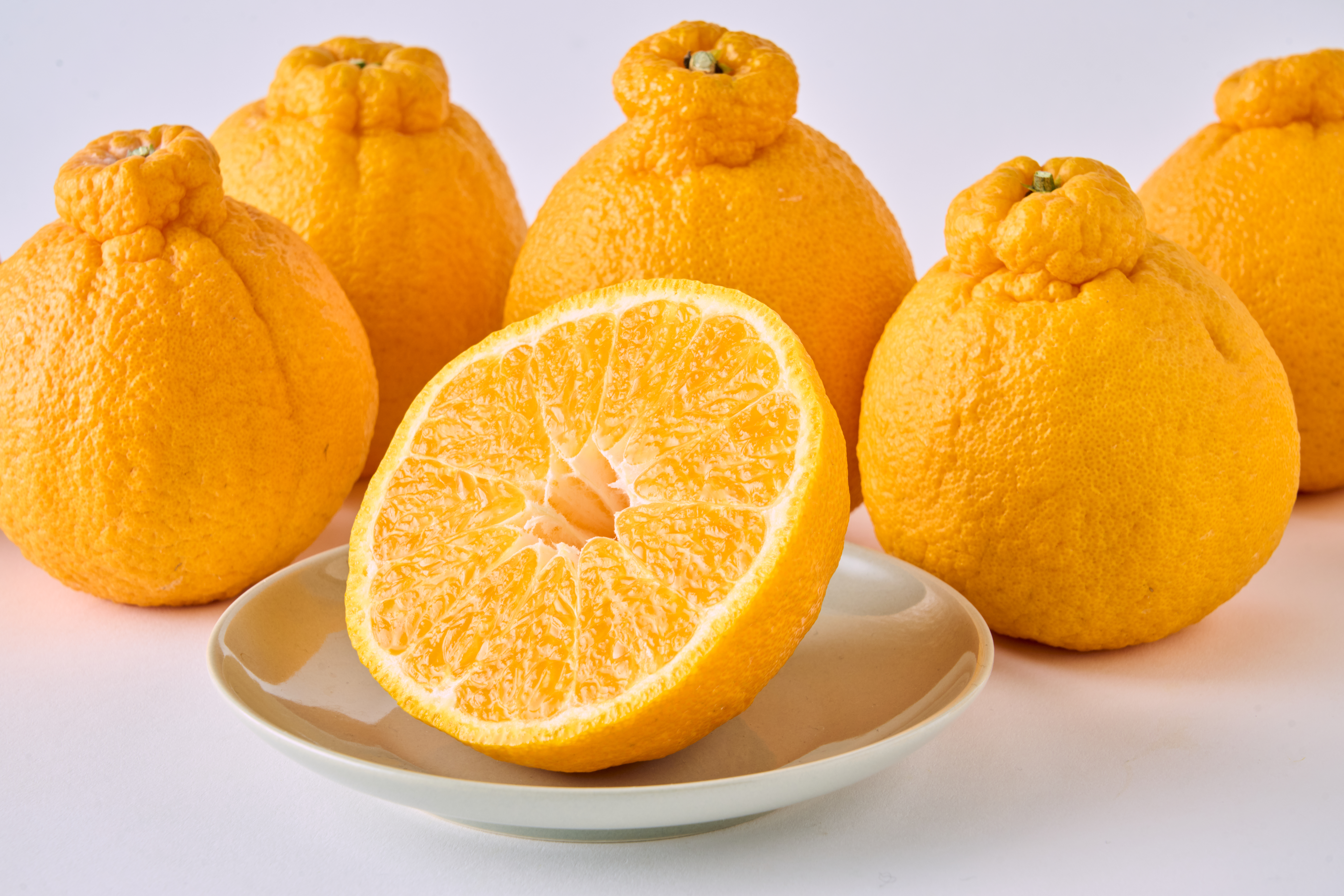 å
è¡äºçŽ äžç¥ç« æå®ã®å®ç®±ãã³æäžç¥ç« çŽ2.5kg 7çã12ç ã2026幎3æäžæ¬ãã5æäžæ¬çºéäºå®ã ããã¬ã ææ© ã¿ãã ãã«ã³ èæ æç© ãã ãã® ãã«ãŒã ä¹å·ç£ çæ¬çç£ å®ååžç£ åœç£ ç°èŸºèŸ²å