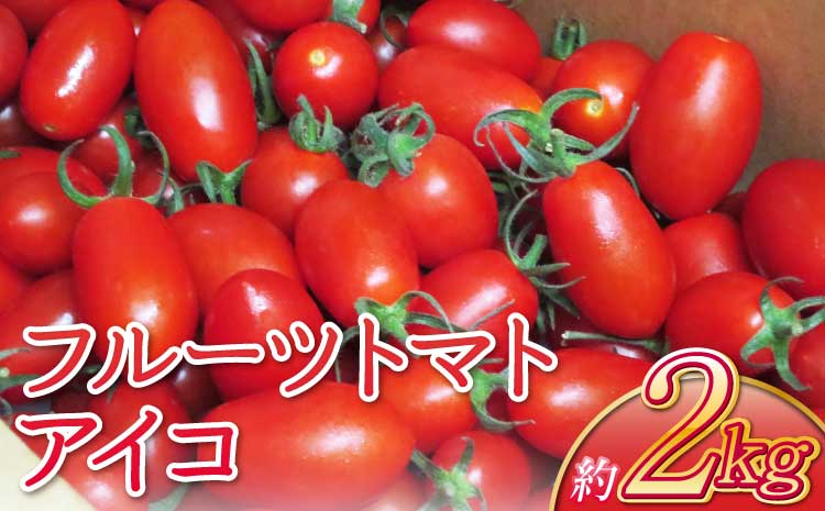 宇城市産 フルーツトマト アイコ 約2kg【2026年4月上旬〜6月中旬頃順次発送予定】【しんたのトマト農園】
