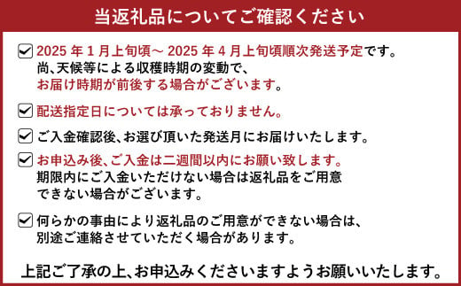 【1月発送】宇城市産いちご 「さちのか」「恋みのり」詰め合わせ 各約250g×2パック 計4パック 【わたなべいちご園】