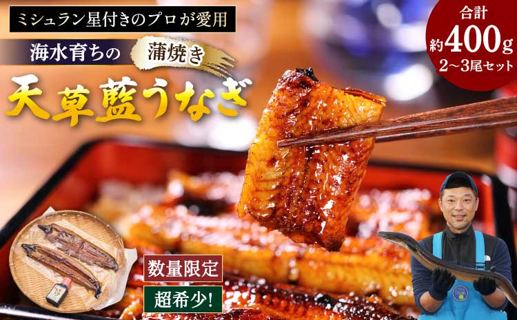 うなぎ [ミシュラン1つ星店 採用] 国産 蒲焼き2-3尾 400g ギフト 蒲焼き 白焼き 鰻重 鰻丼 [数量限定]海水育ちの天草藍うなぎ 蒲焼き 2〜3尾セット(計約400g)鰻